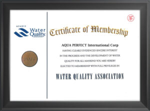 certificate 03